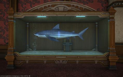 silver shark ffxiv|Iba pa.